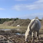 Moulin Moulin