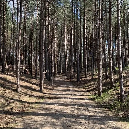 Moulin Moulin Dannes