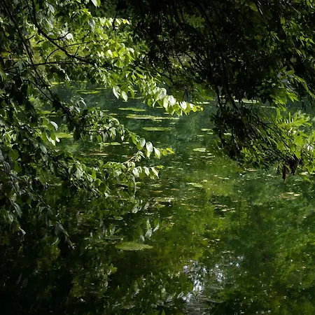 Moulin Moulin Guest house 3*