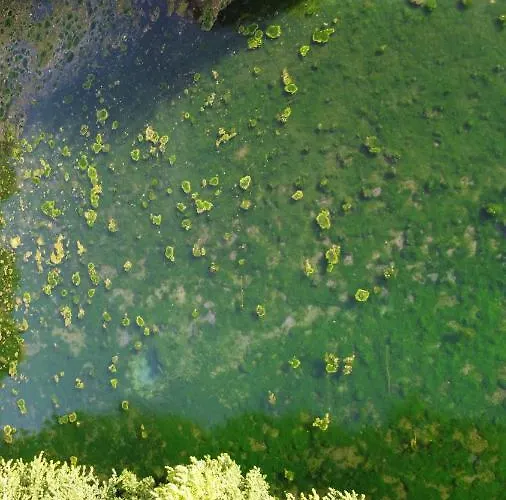 Guest house Moulin Moulin 3*