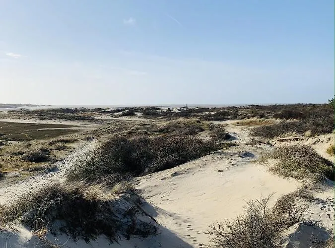 Moulin Moulin Guest house Dannes