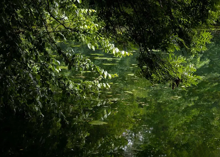 Moulin Moulin Guest house 3*